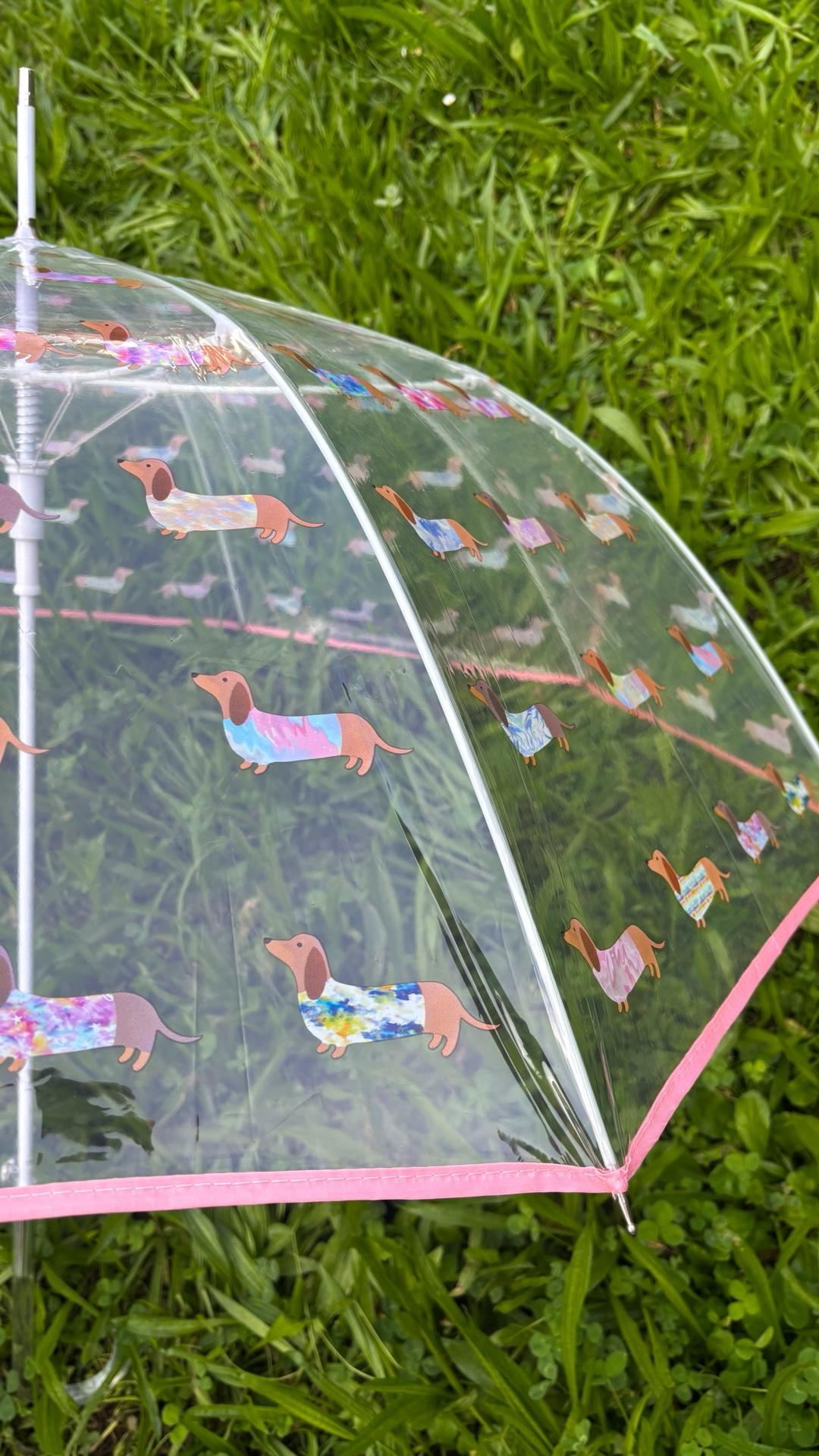 Paraguas Transparente Teckel