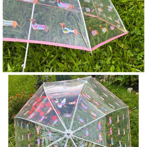 Paraguas Transparente Teckel [1]