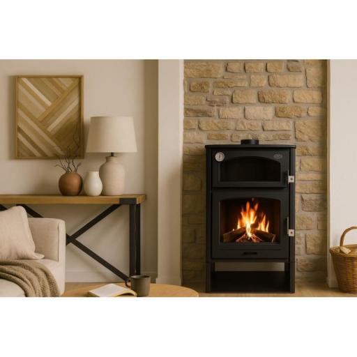 ESTUFA DE LEÑA MODELO ASTON