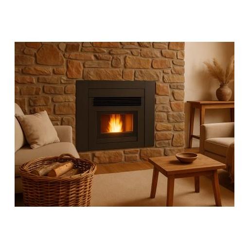 Insertable de Pellets mod. IRON PLUS Canalizable [1]