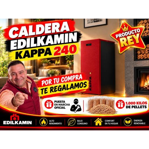 CALDERA DE PELLETS EDILKAMIN MOD. KAPPA 240 - ALTA GAMA  [0]
