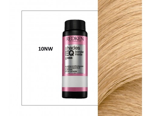 Redken Shades EQ Gloss 60mL 010NW