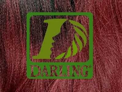 Darling X-Braid Kanekalon 100% – Color T2/39