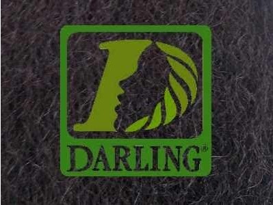 Darling X-Braid Kanekalon 100% – Color T2