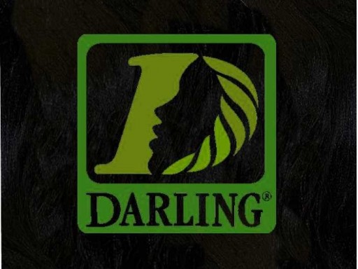 Darling X-Braid Kanekalon 100% – Color T1B