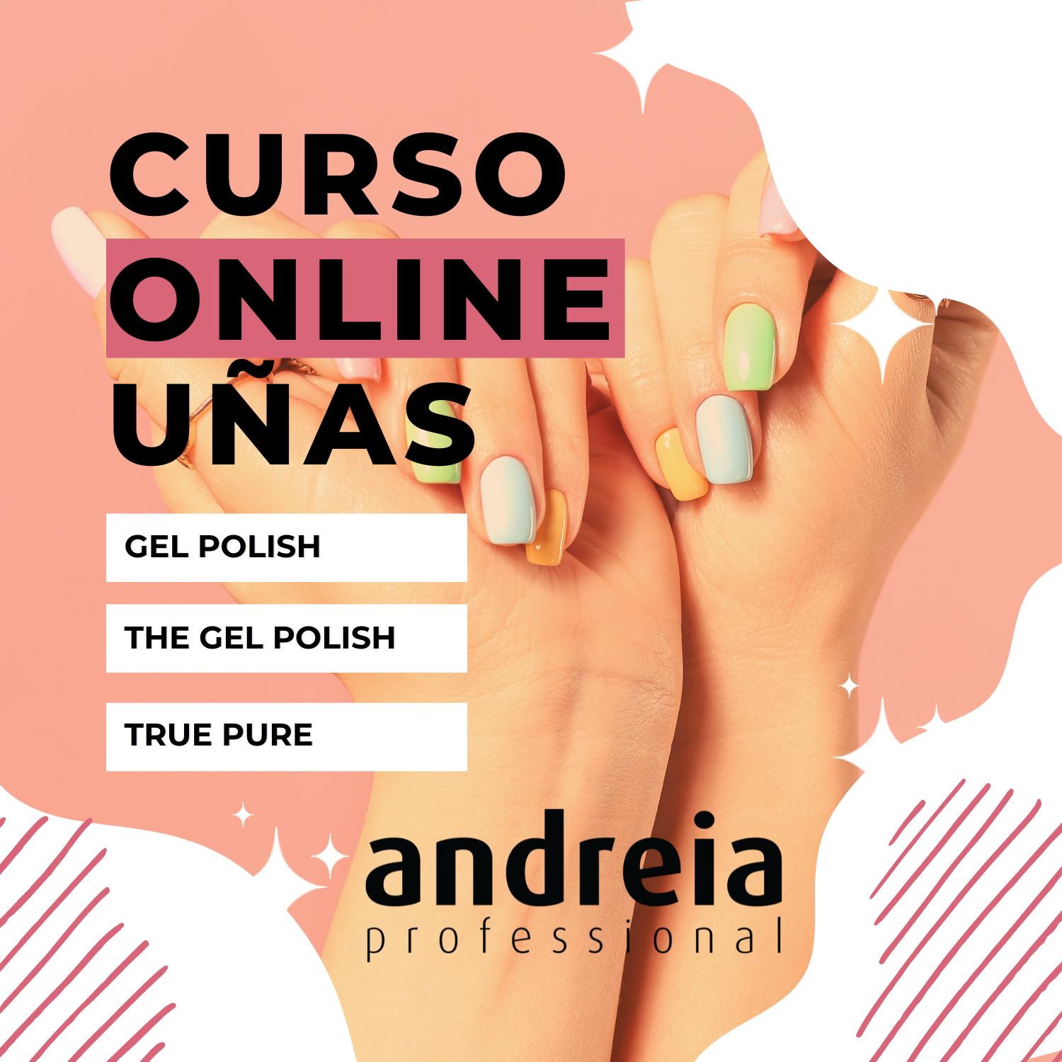 Andreia Professional Curso E-Learning – Formación Profesional Online