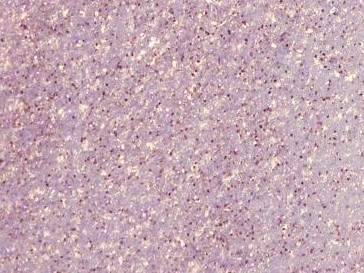 Andreia  Profesional The Gel Polish 10,5ml Cor- G04 [1]