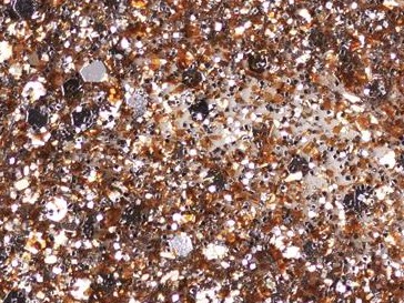 Andreia  Profesional The Gel Polish 10,5ml Cor- G37 [2]