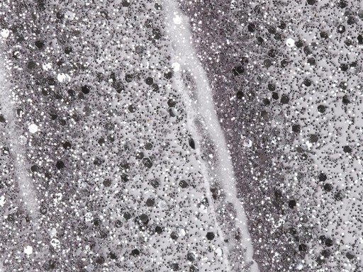 Andreia  Profesional The Gel Polish 10,5ml Cor- G38 [1]