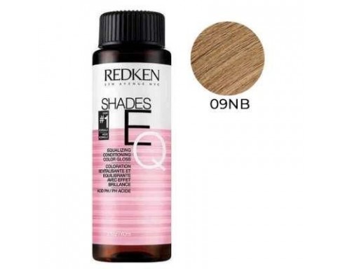 Redken Shades EQ Gloss 60mL 09NB Irish Creme