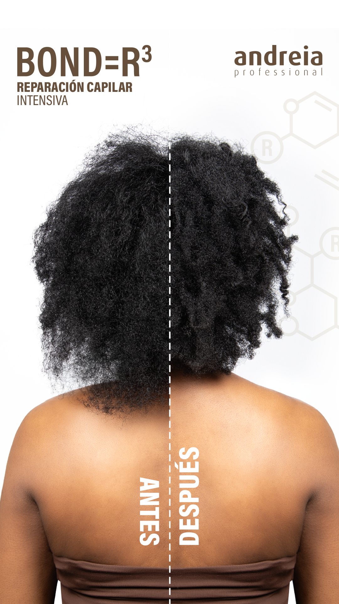 ES_Bonder3_Story_15_antes-después.png