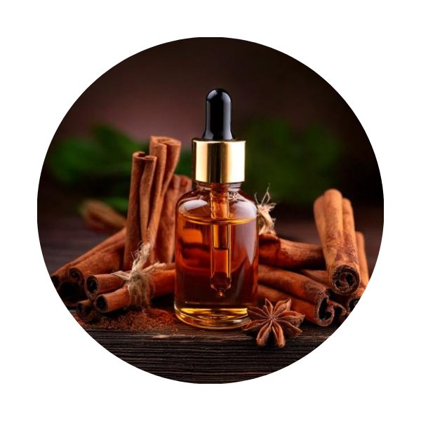 Extrato-da-Semente-de-Canela-Sel.jpg