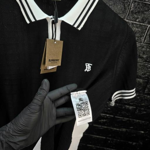 POLO BBRY [1]
