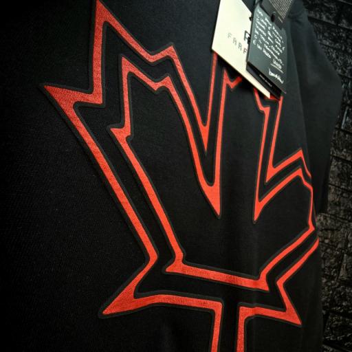CAMISETA DSQ [3]
