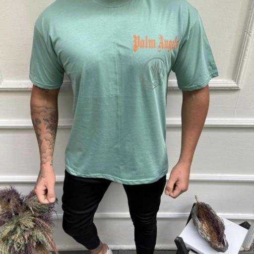 CAMISETA PALM  [1]