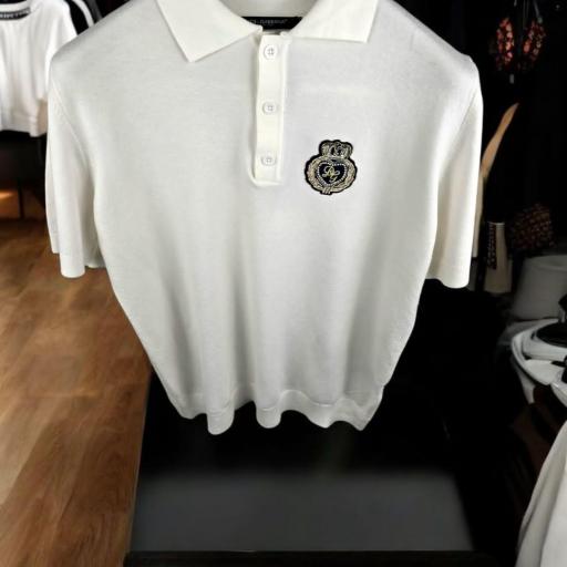 POLO DG [1]