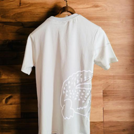 CAMISETA LCST GRIS ! [1]