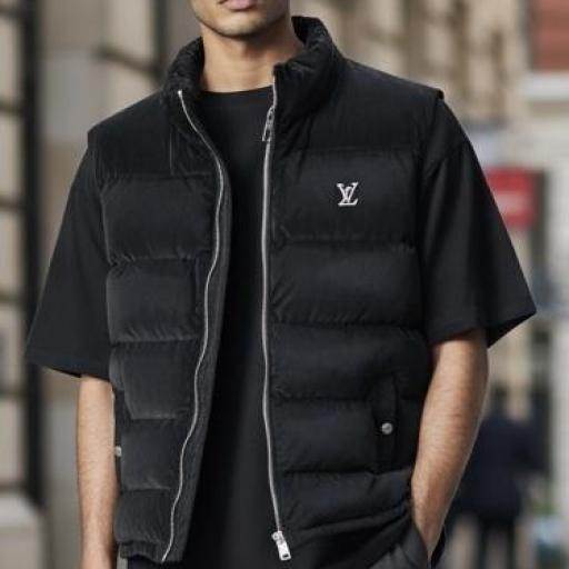CHALECO LV [1]