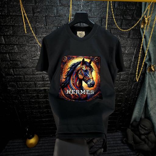 CAMISETA HERM€S   (3D)