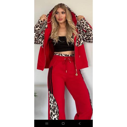 Conjunto bella belucci 