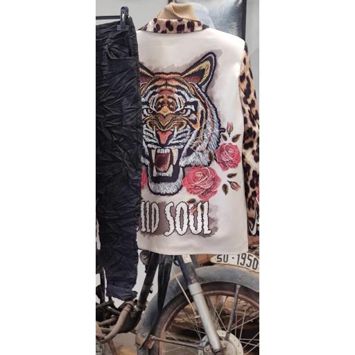 Blazier fantasia [0]