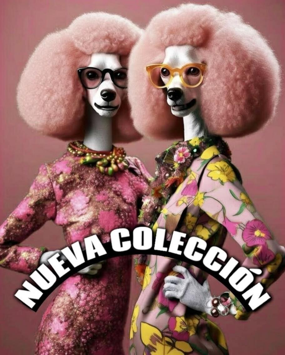 NUEVA COLECCIÓN 2026