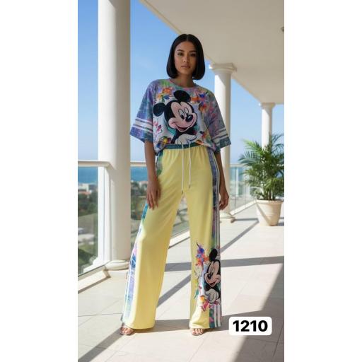 Conjunto tatu nueva colección DISNEY [1]