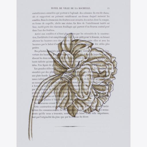 DIBUJO MODERNO SOBRE HISTORIA [1]