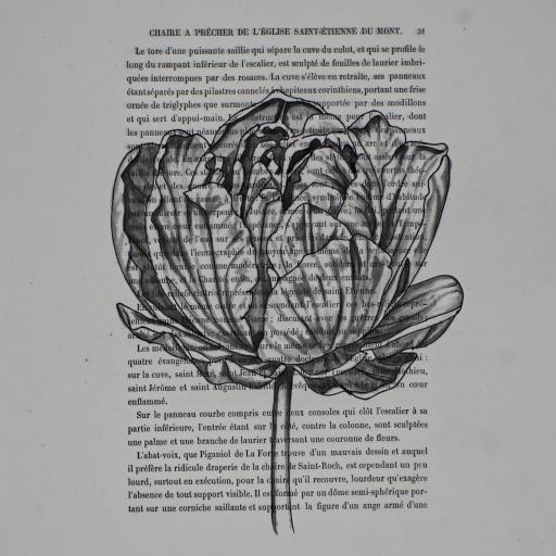 DIBUJO MODERNO SOBRE HISTORIA [1]