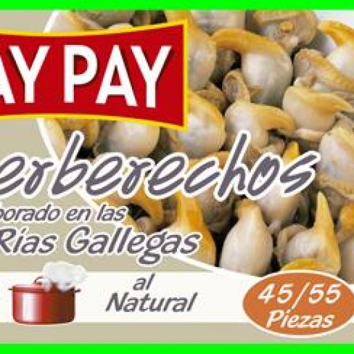 Berberechos Pay Pay Rias 45/55 (5 uds)