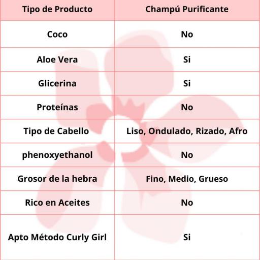 Gyada Cabello Color Vibes Shampoo Purificante 250ml [1]