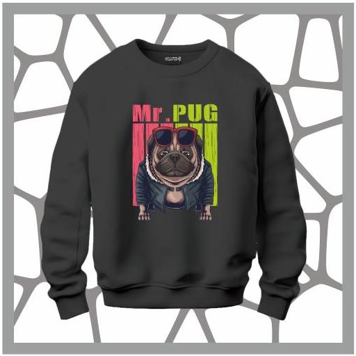 SUDCR /  6023 MR. PUG