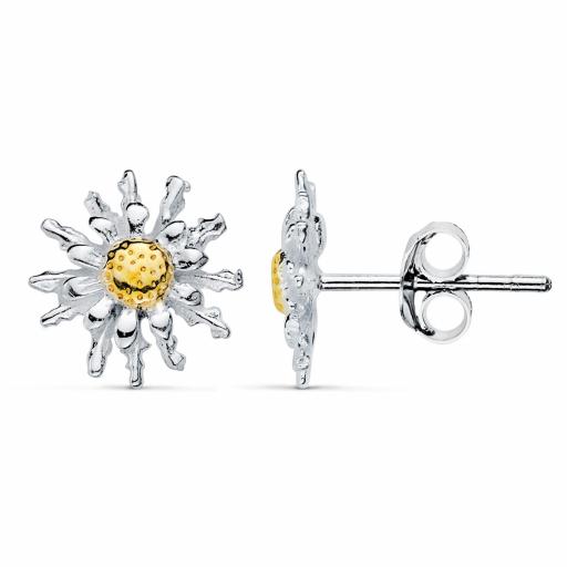 Pendientes plata Eguzkilore bicolor