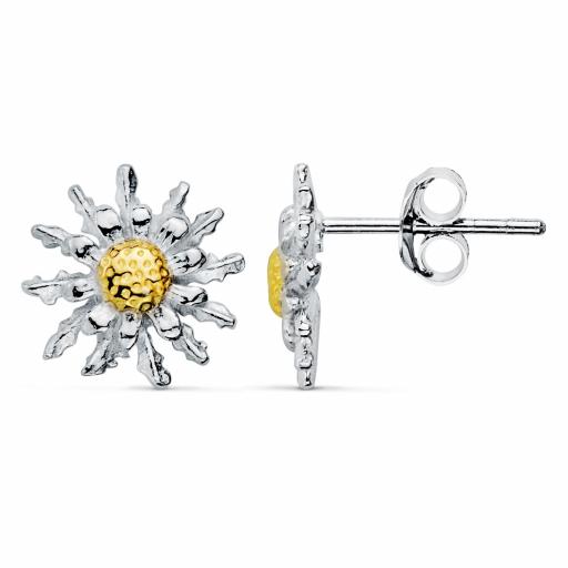 Pendientes plata rodiada Eguzkilore bicolor