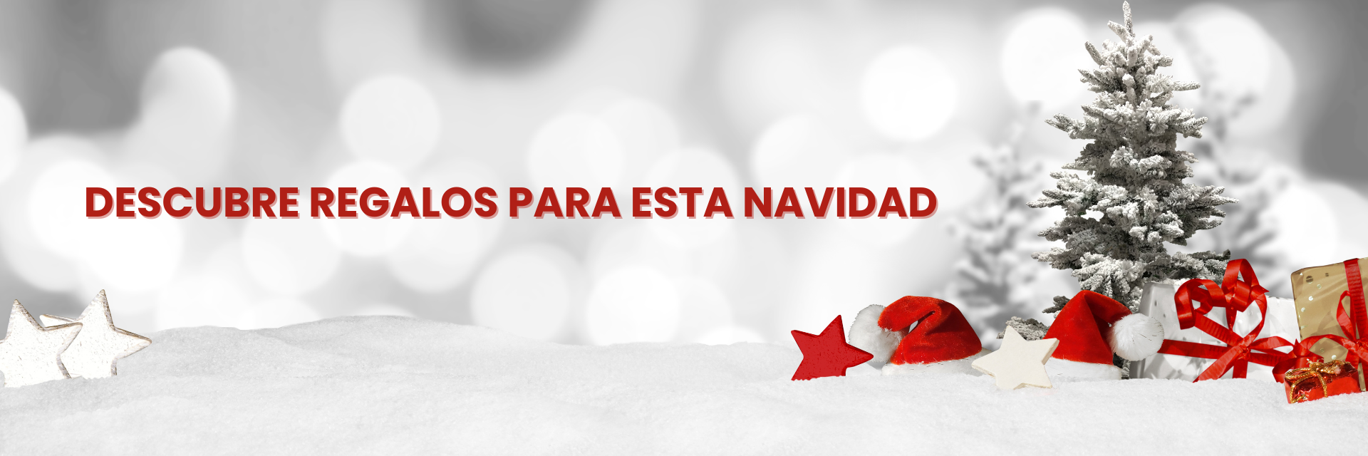 banner navidad.png