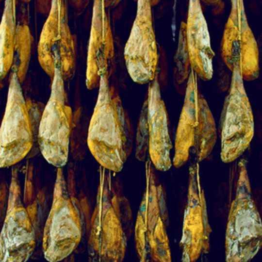 Jamón ibérico de bellota 