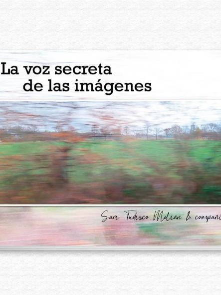 La voz secreta de las imágenes [0]