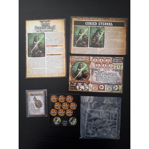 Shadows of Brimstone: Cursed Eternal Hero Pack [2]