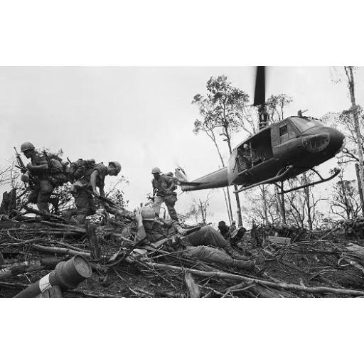 Fuego en la jungla [2]