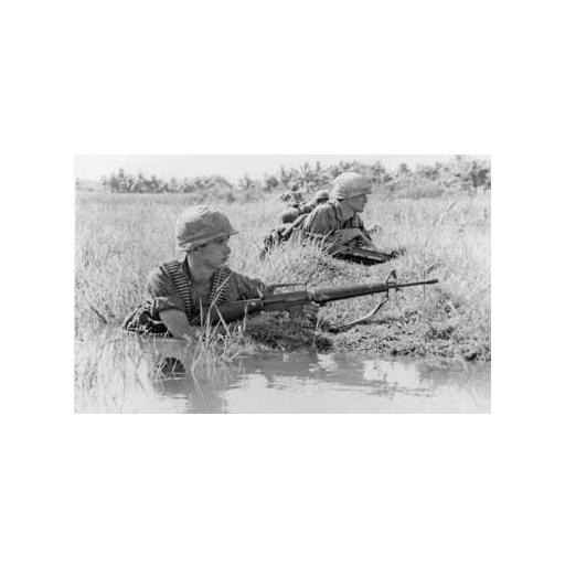 Fuego en la jungla [3]