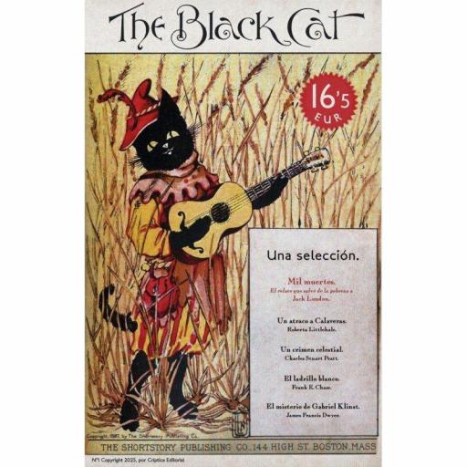 The Black Cat [0]