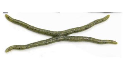 T.H. Tackle Wavy Twin 4 pulgadas