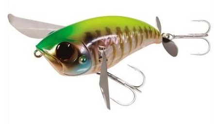 POMPADOUR Jr. | IS CHARTREUSE BACK GILL BONE