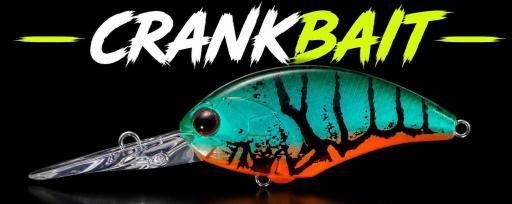 Crankbait
