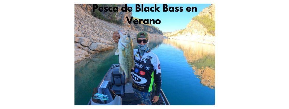 Pesca de Black Bass en Verano 2025: Grandes Capturas Volviendo a lo Clásico