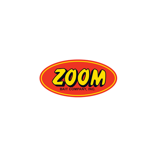 Logo de ZOOM