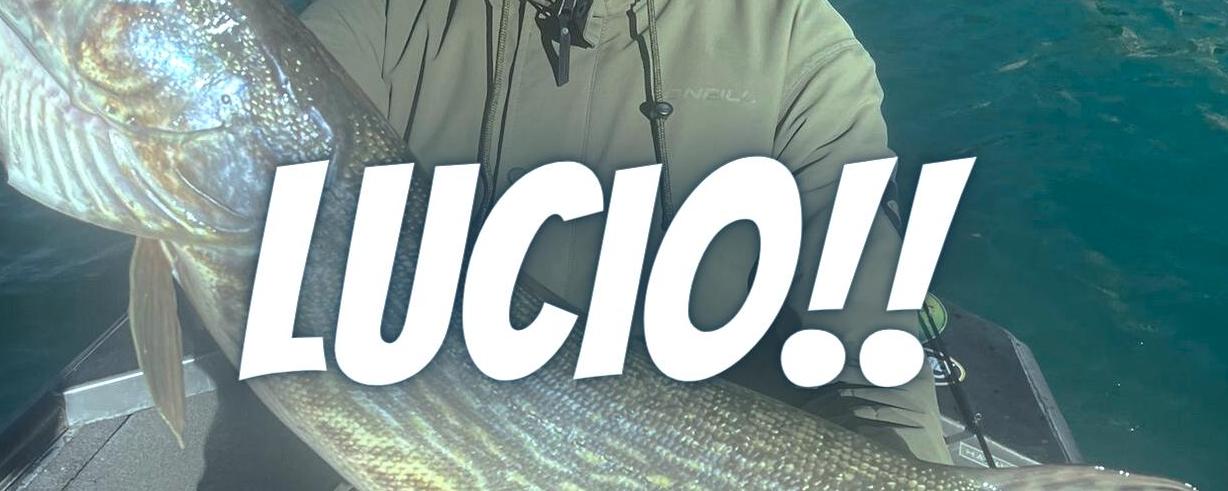 Lucio