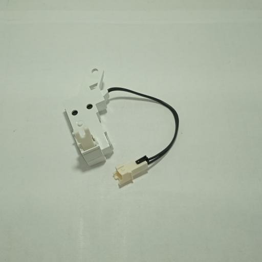 Microinterruptor [1]
