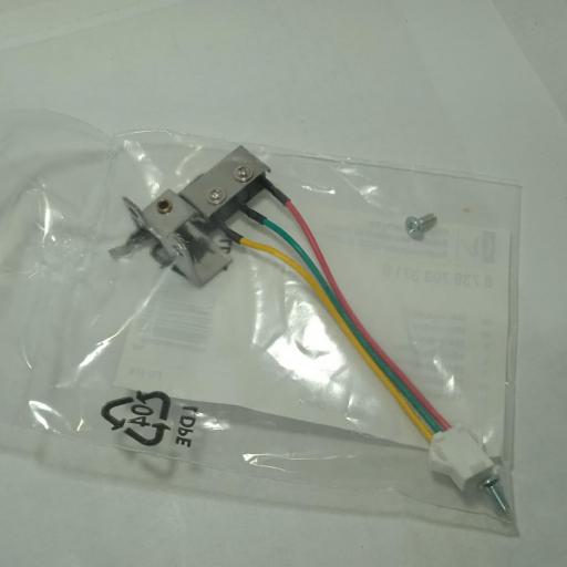 Microinterruptor [1]