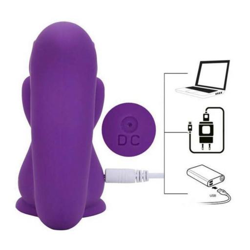 ARDILLA SUCCIONADORA/VIBRADOR [1]